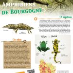 Couverture exposition