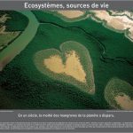 Écosystèmes, sources de vie