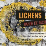 Conservatoire botanique exposition lichens